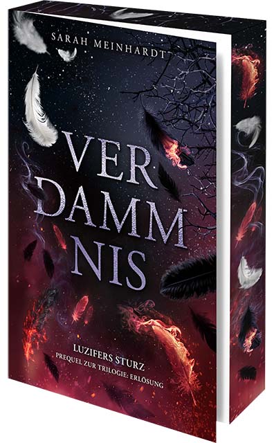 Verdammnis Mock Up mit FS, 